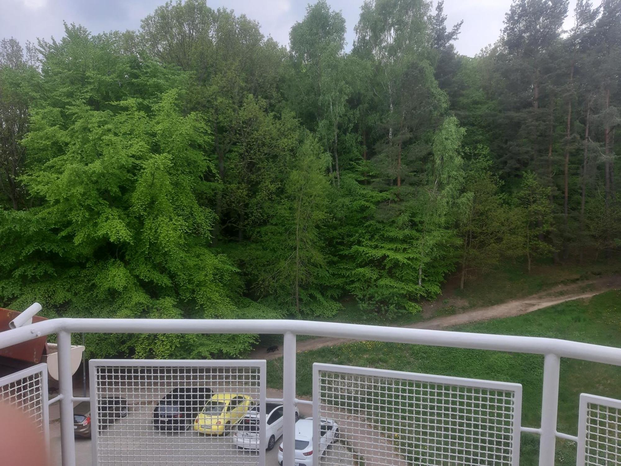 Lesny Loft Apartment Gdynia Bagian luar foto